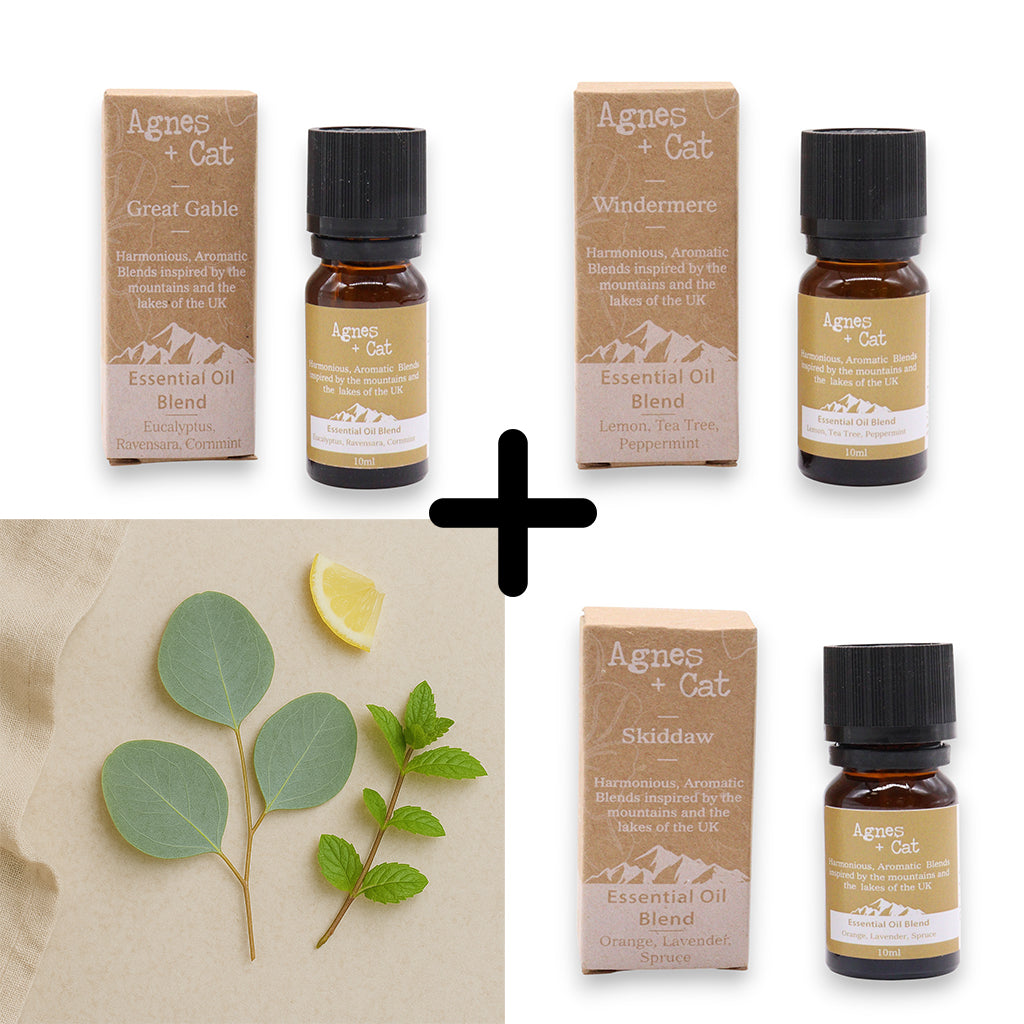 Agnes & Cat – Breathe Easy Set mit 3 ätherischen Ölmischungen