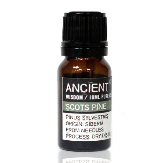 10 ml ätherisches Pine Sylvestris (Waldkiefer) Öl