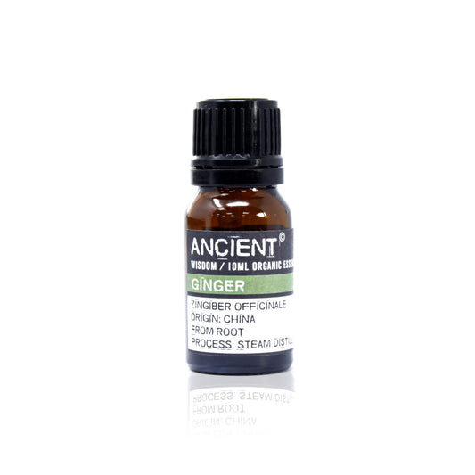 Ätherisches Bio-Ingweröl 10 ml