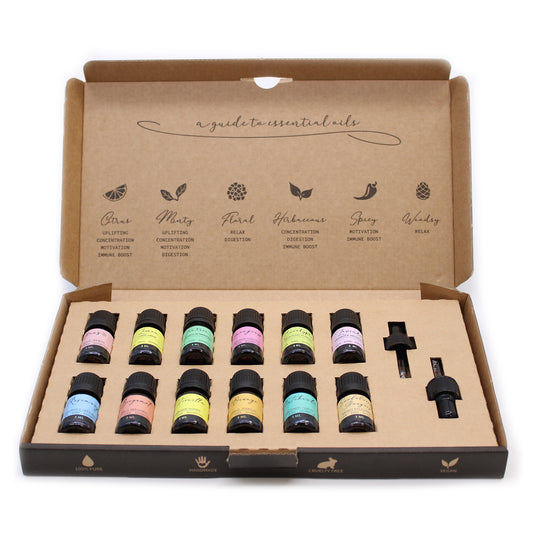 Aromatherapie-Set mit ätherischen Ölen – Die Top 12