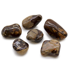 Bag of 6 large African tumbled stones – Jasper Nguni