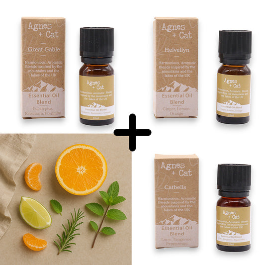 Agnes & Cat – Energy Boost Set mit 3 ätherischen Ölmischungen