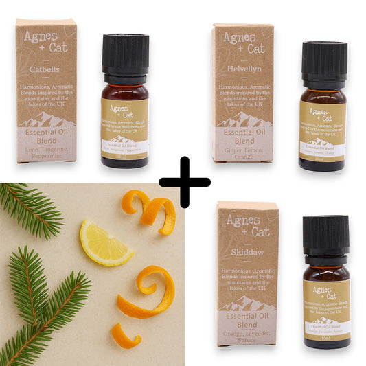Agnes & Cat – Citrus Uplift Set mit 3 ätherischen Ölmischungen